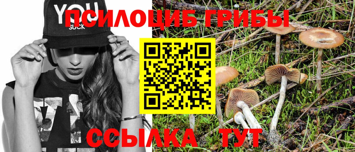 Галлюциногенные грибы Psilocybine cubensis Ялта