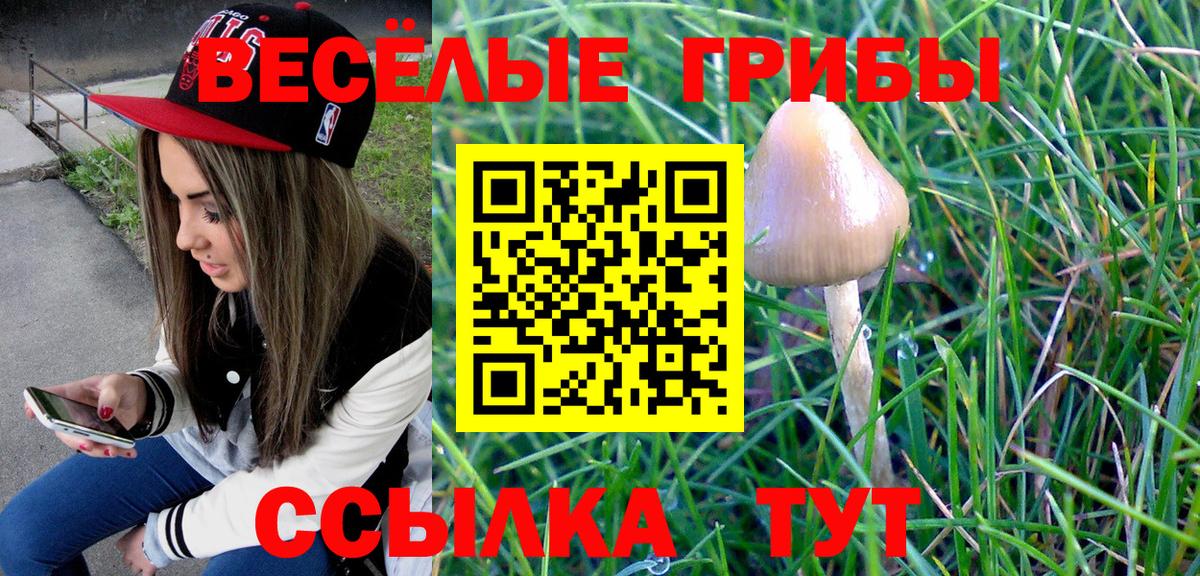 Ялта  Псилоцибиновые грибы ЛСД  Галлюциногенные грибы Psilocybine cubensis  как найти закладки  Вход с VPN 